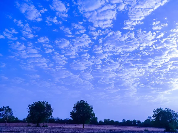 Beautiful Short Nature Beauty Background Tree Cloud Sunset Photos — Fotografia de Stock