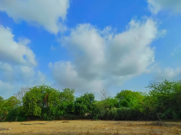 Beutiful Short Monsoon Season Cloud Tree Nature Beauty — Stock Photo, Image