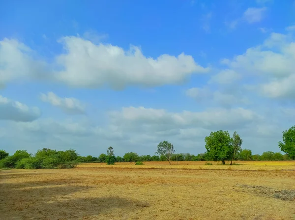 Beutiful Short Monzón Temporada Nube Árbol Naturaleza Belleza —  Fotos de Stock