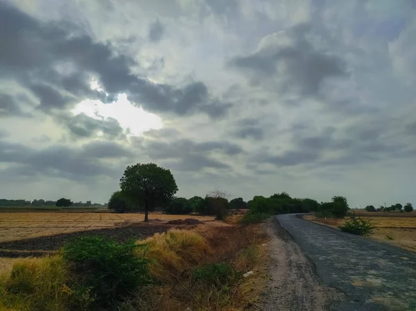 Eine Schöne Kurze Zeit Der Monsunzeit Wolke Und Baum Natur — Stockfoto