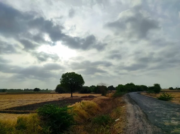 Eine Schöne Kurze Zeit Der Monsunzeit Wolke Und Baum Natur — Stockfoto
