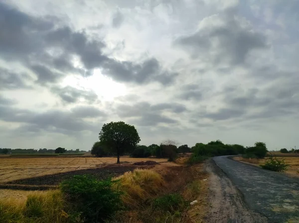 Beutiful Short Monsoon Season Cloud Tree Nature Beauty — Stock Photo, Image