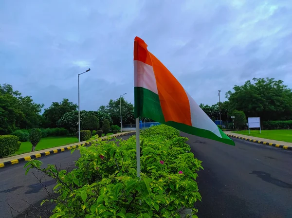 Indian Flag Planted Trees Road Divider — 图库照片