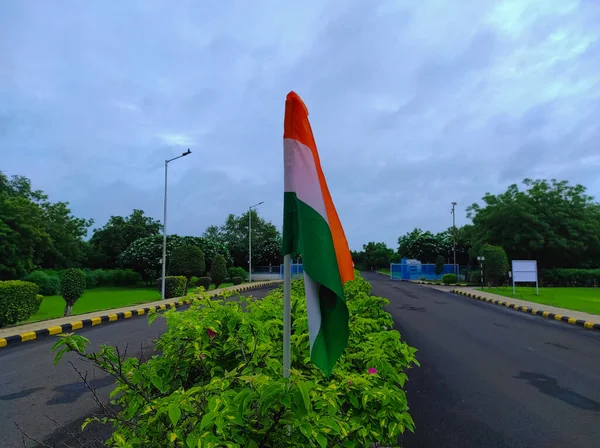 Indian Flag Planted Trees Road Divider — Photo
