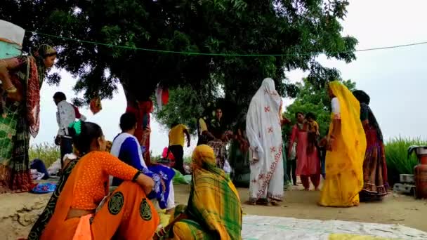 Říjen 2022 Indie Gujarat Ahemdabad Viramgam Thuleta Village Farm Lady — Stock video