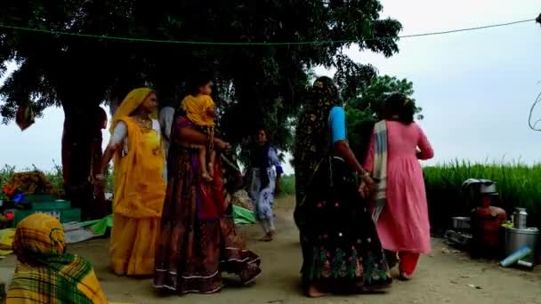 Říjen 2022 Indie Gujarat Ahemdabad Viramgam Thuleta Village Farm Lady — Stock video