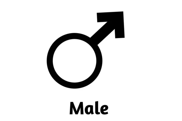 Silhueta Estilo Masculino Orientação Sexual Ícone Símbolo Forma Signo Logotipo — Fotografia de Stock
