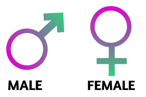 Gradient Colour Male Female Sexual Orientation Icon Symbool Shape Sign — Stockfoto