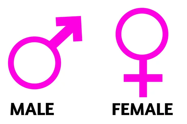 Ένα Αρσενικό Θηλυκό Σεξουαλικός Προσανατολισμός Εικόνα Σύμβολο Σχήμα Sign Logo — Φωτογραφία Αρχείου