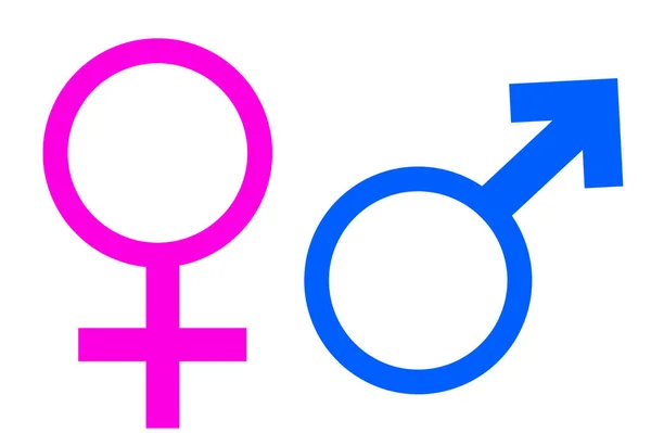一个男性女性性取向图标符号形状符号标志网站性别概念网页按钮设计图标用户接口艺术图解信息图形 — 图库照片