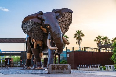 Valencia, İspanya. 27 Şubat 2022. Bioparc 'a erişimi olan bir fil heykeli.