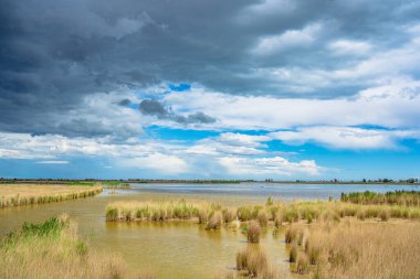 Delta del Ebro 'nun manzarası