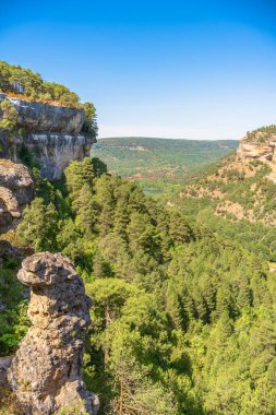 Landscape of the Serrania de Cuenca. Karst eroded by water and coniferous forests