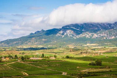 Alçak bulutlarla kaplı dağların manzarası. Sierra de Cantabria, Alava, İspanyol Bask Ülkesi