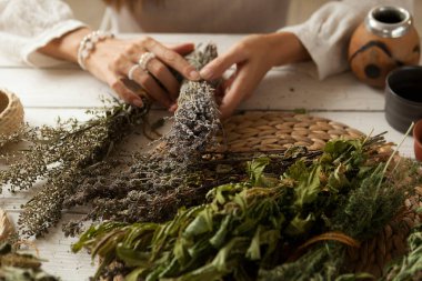 Kurutulmuş lavanta, kadınların elinde kurutulmuş şifalı bitkiler, şifalı bitkiler, beyaz ahşap masa.