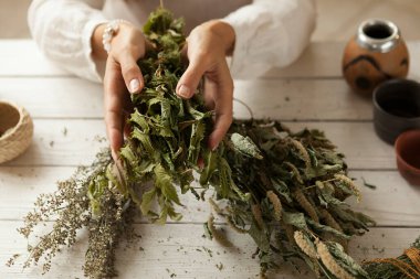  Kadınların ellerinde kurutulmuş şifalı bitkiler, şifalı bitkiler, beyaz ahşap masa.