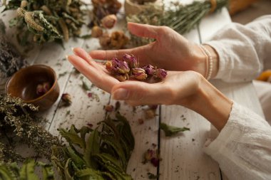 Kadın avuçlarında kurumuş gül tomurcukları kurutulmuş şifalı bitkiler, beyaz ahşap bir masada şifalı bitkiler, bitkisel ilaçlar.