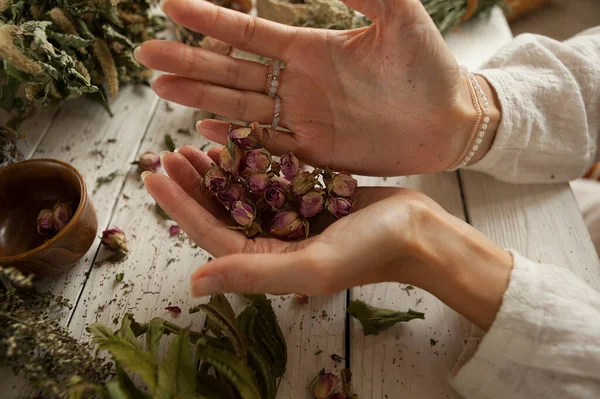 Capullos Rosa Secos Las Palmas Las Mujeres Racimos Hierbas Medicinales Imagen De Stock