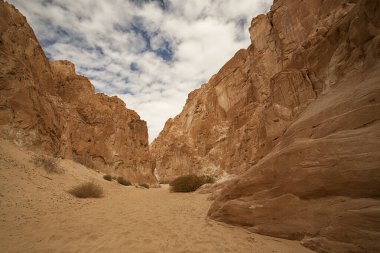 Amerika 'nın, Mısır' ın, Ürdün 'ün kırmızı kum kanyonları ve kayaları. Güney Sina Kanyonları