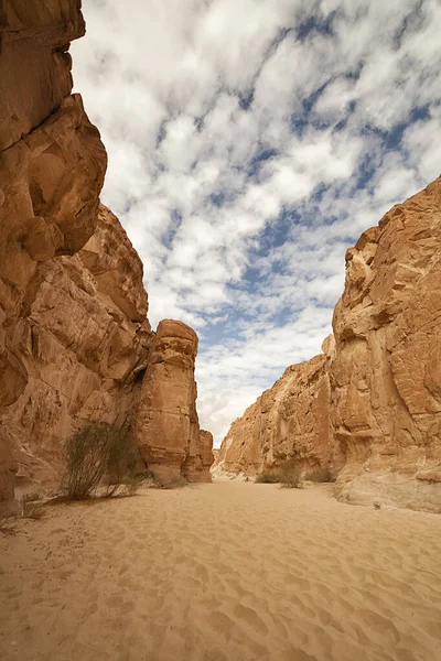 Каньоны Скалы Красного Песка Америки Египта Иордании Каньоны Южного Синая — стоковое фото