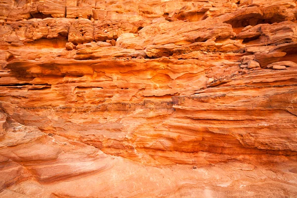 Canyons Sable Rouge Les Roches Amérique Egypte Jordanie Canyons Sud — Photo