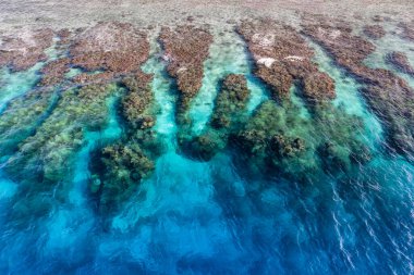 Şeffaf turkuaz suları olan hava resifi