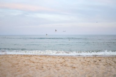 Beautiful sea summer abstract background. Golden sand beach with blue ocean and cloudscape and sunset in the back.