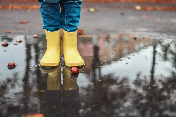Желтые Резиновые Туфли Луже После Дождя Падающие Листья Концепция Осеннего — стоковое фото