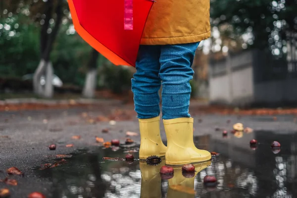 Желтые Резиновые Туфли Луже После Дождя Падающие Листья Концепция Осеннего — стоковое фото
