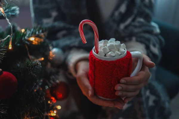 Girl Holding Red Knitted Cup Marshmallows Her Hands New Year — стоковое фото