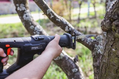 Oduncu testere Ağaç Kereste fabrikası chainsaw ile