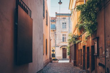 Ancient streets of Lviv, city life