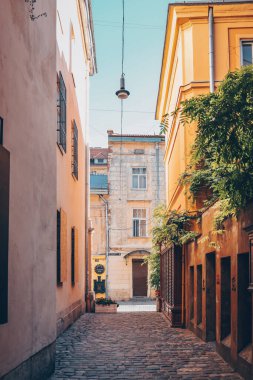 Ancient streets of Lviv, city life