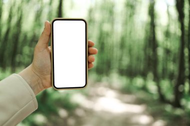 Phone with an isolated screen in a hand on a background of a forest, a place for your text.