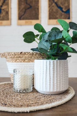 Room decor, candle, green plant and wicker basket, close-up interior details