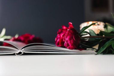 Book and peony. Beautiful picture