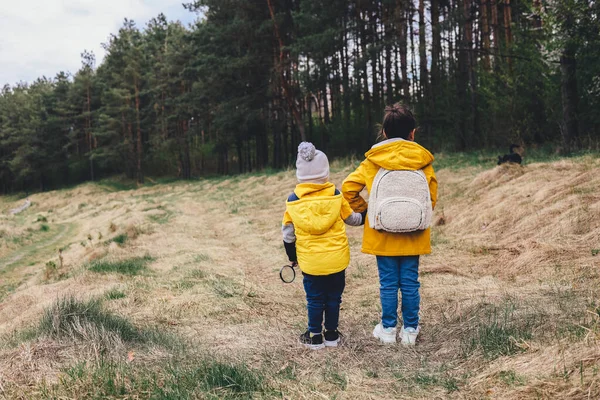 Children Walk Forest Explore Nature — 스톡 사진