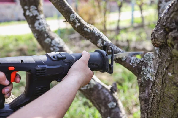 Oduncu testere Ağaç Kereste fabrikası chainsaw ile