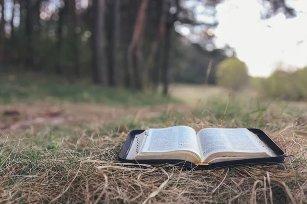 Open Bible Beautiful Forest Clearing Space Your Text — Stockfoto