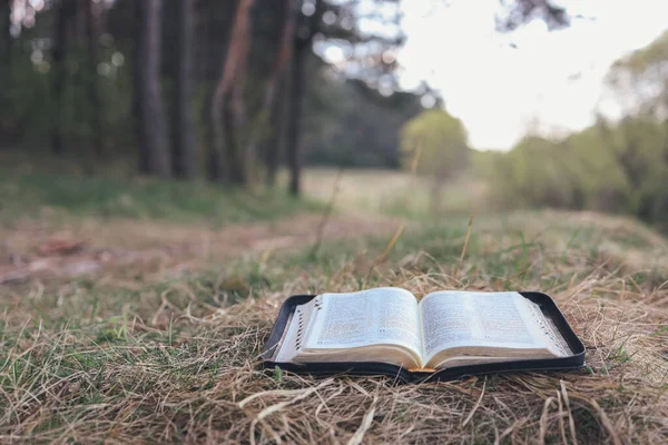 Open Bible Beautiful Forest Clearing Space Your Text — Stock Photo, Image