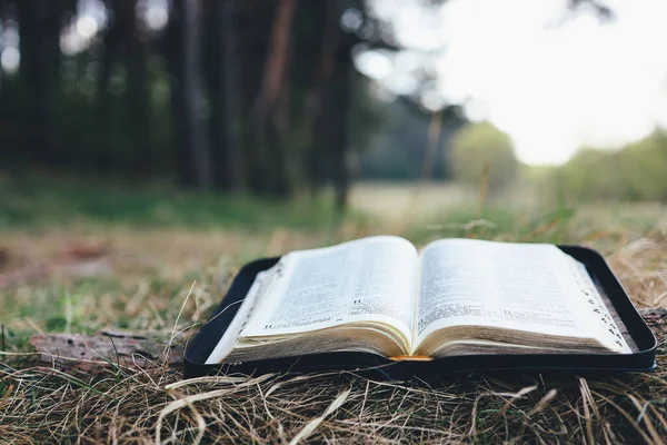 Open Bible Beautiful Forest Clearing Space Your Text — Stock Photo, Image