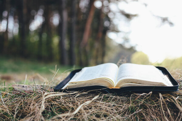 Open bible in a beautiful forest clearing, space for your text