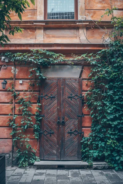 Beautiful Vintage Doors Urban Architecture — Stockfoto