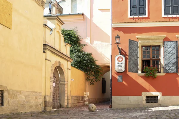 Traditional Buildings Cobblestone Street Historical Old Town Lviv — Foto de Stock