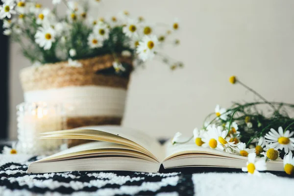 Open Book Bouquet Daisies Atmospheric Aesthetic Photography — стоковое фото
