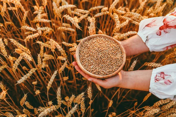 Ukrainian girl holding a grain of wheat in the field
