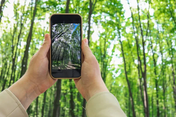 stock image Phone in hand with a photo of the forest.