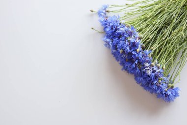 Beyaz arka plan üzerinde izole Peygamber Çiçeği çiçek buketi