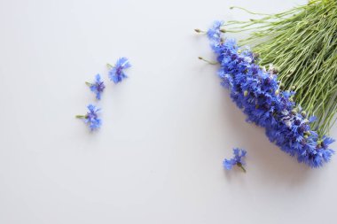 Beyaz arka plan üzerinde izole Peygamber Çiçeği çiçek buketi