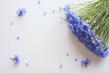 Beyaz arka plan üzerinde izole Peygamber Çiçeği çiçek buketi